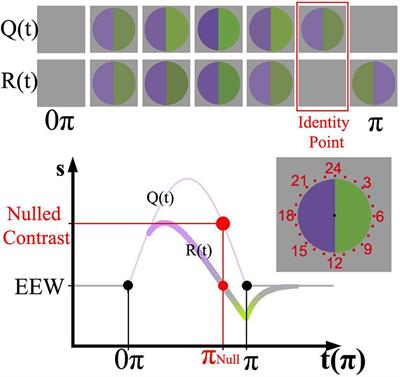 Dynamics of Visual Adaptation With Simultaneous Stimulation of Two Visual Pathways